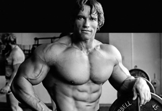 Arnold Schwarzeneggers Größe, Gewicht und Maße